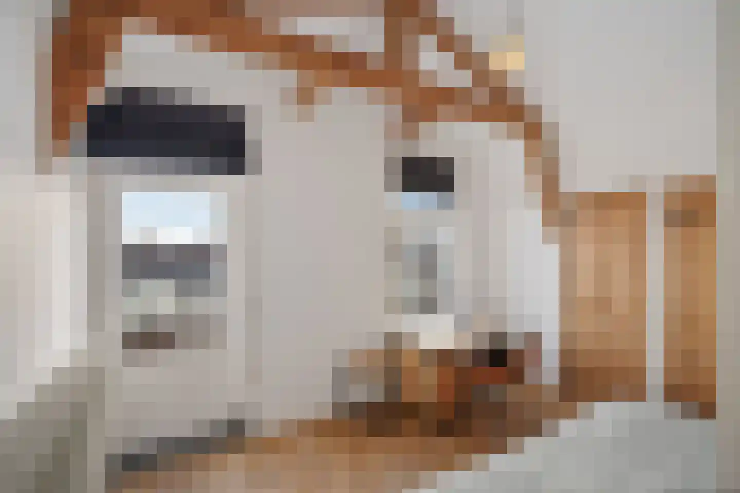 Mariaplaats 53 Utrecht thumbnail 60