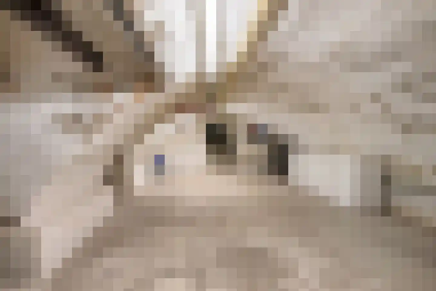 Mariaplaats 53 Utrecht thumbnail 67