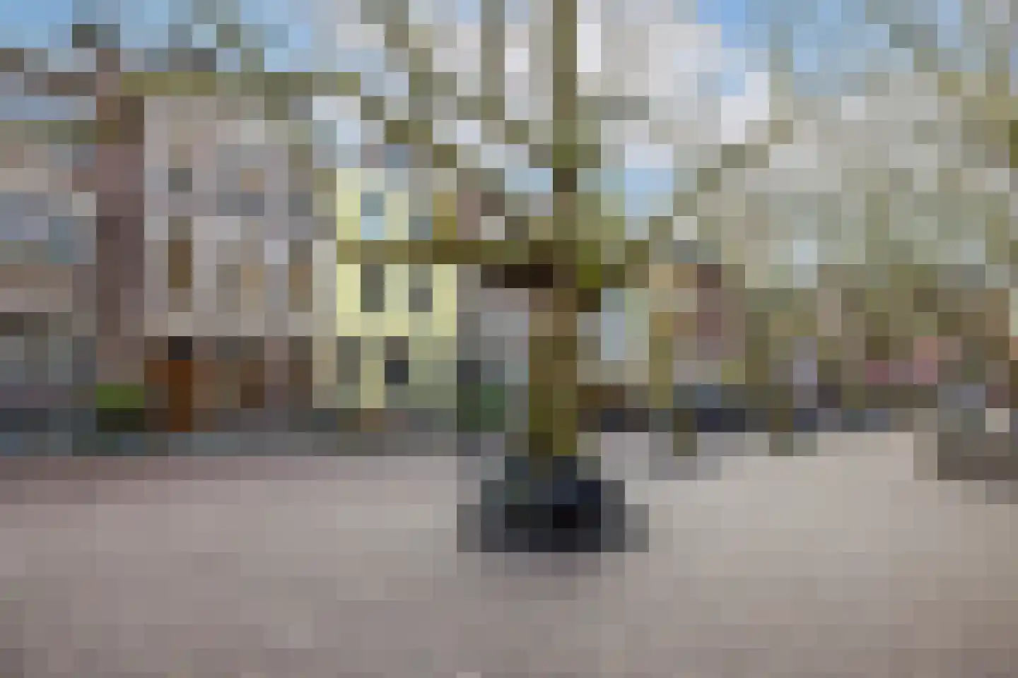 Mariaplaats 53 Utrecht thumbnail 68