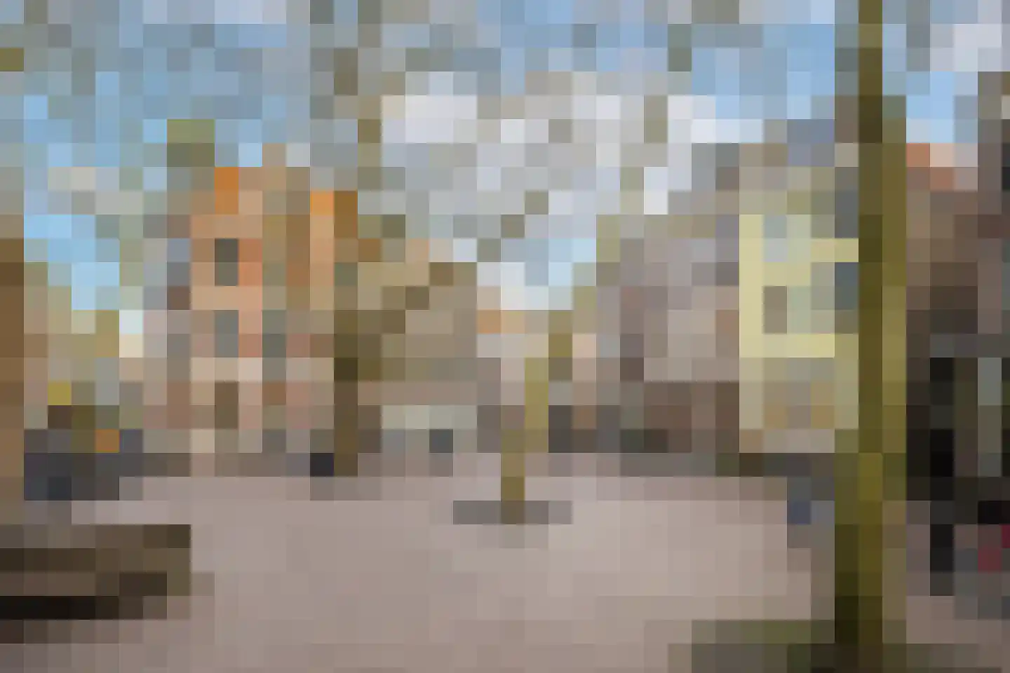 Mariaplaats 53 Utrecht thumbnail 7