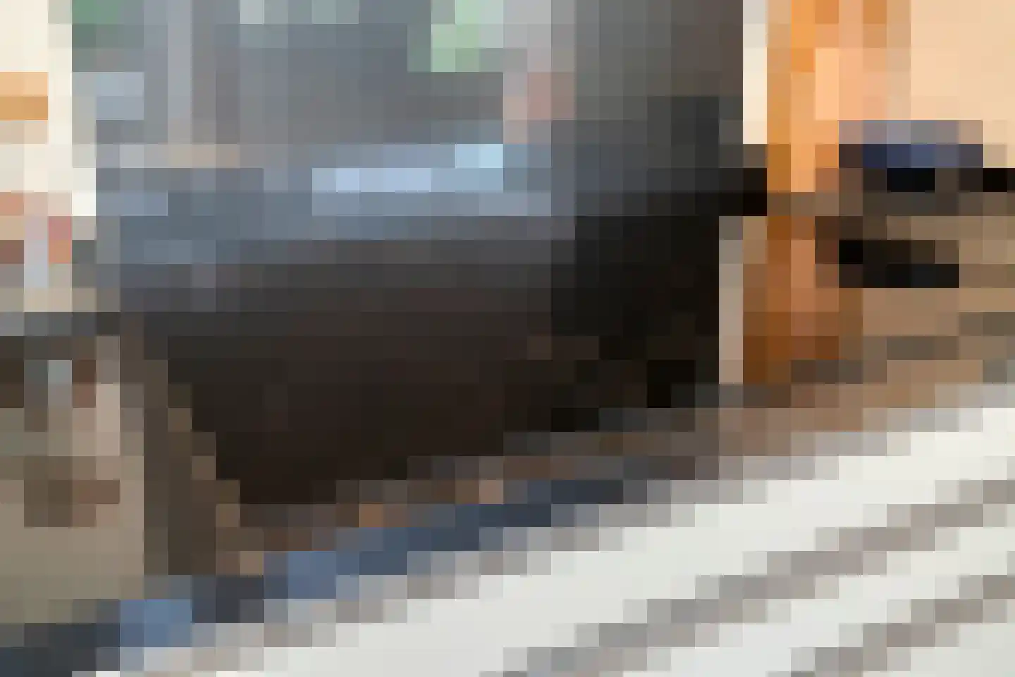 Mariaplaats 7 Zoetermeer thumbnail 14