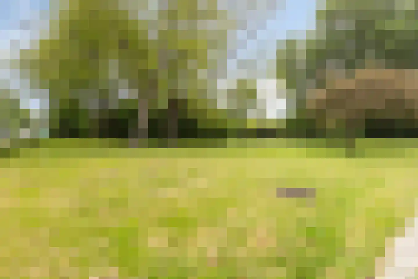 Mariaplaats 7 Zoetermeer thumbnail 37