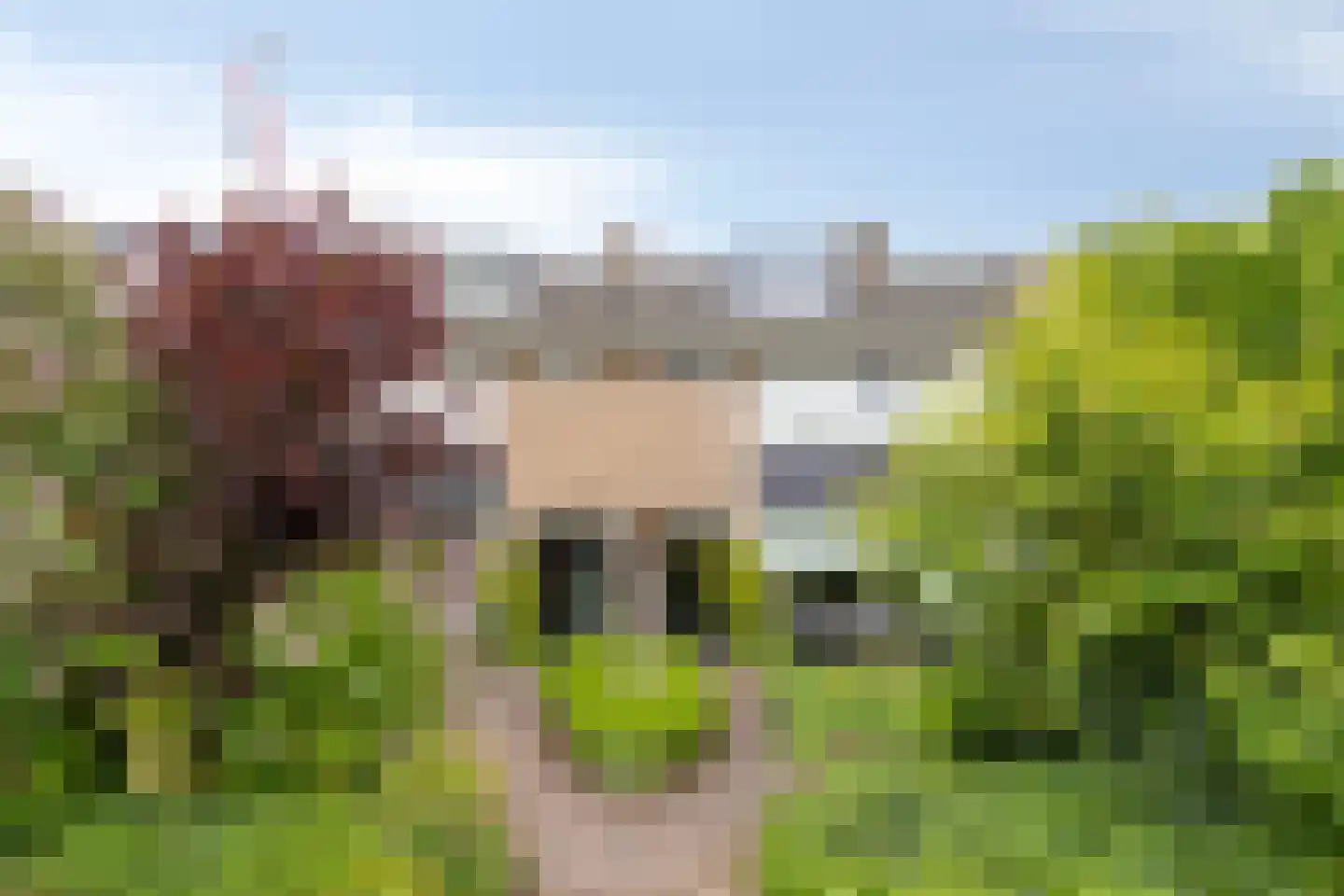 Mariaplaats 7 Zoetermeer thumbnail 5