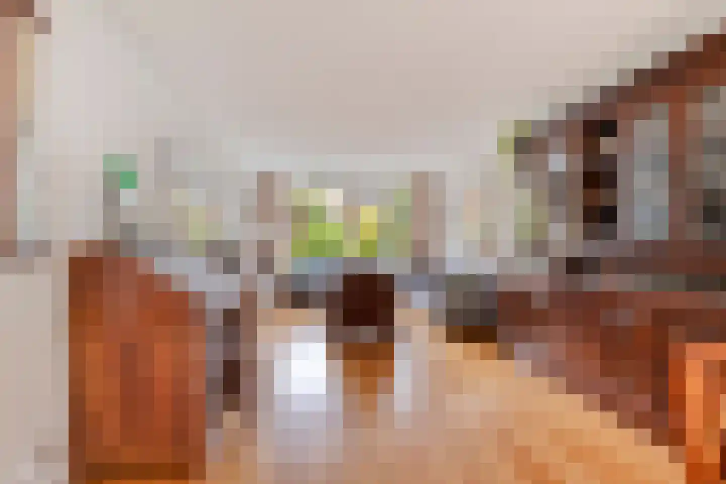Mariaplaats 7 Zoetermeer thumbnail 6