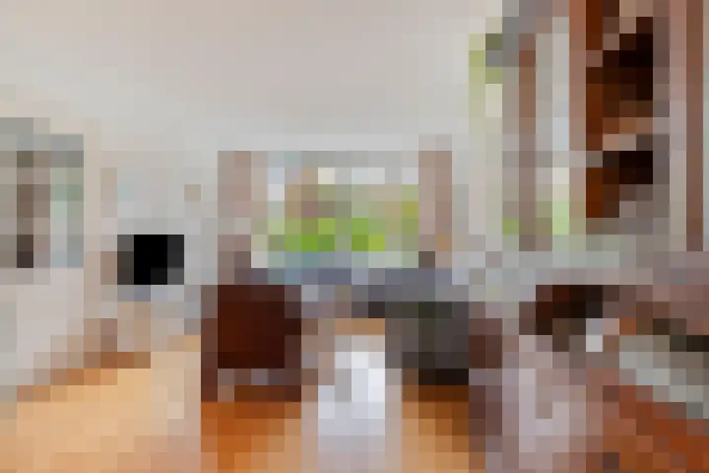 Mariaplaats 7 Zoetermeer thumbnail 7
