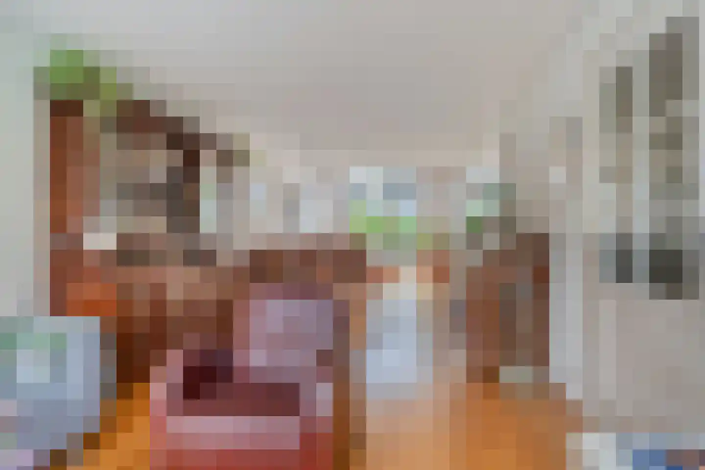 Mariaplaats 7 Zoetermeer thumbnail 8