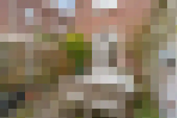 Mariaplein 1 Vught thumbnail 20
