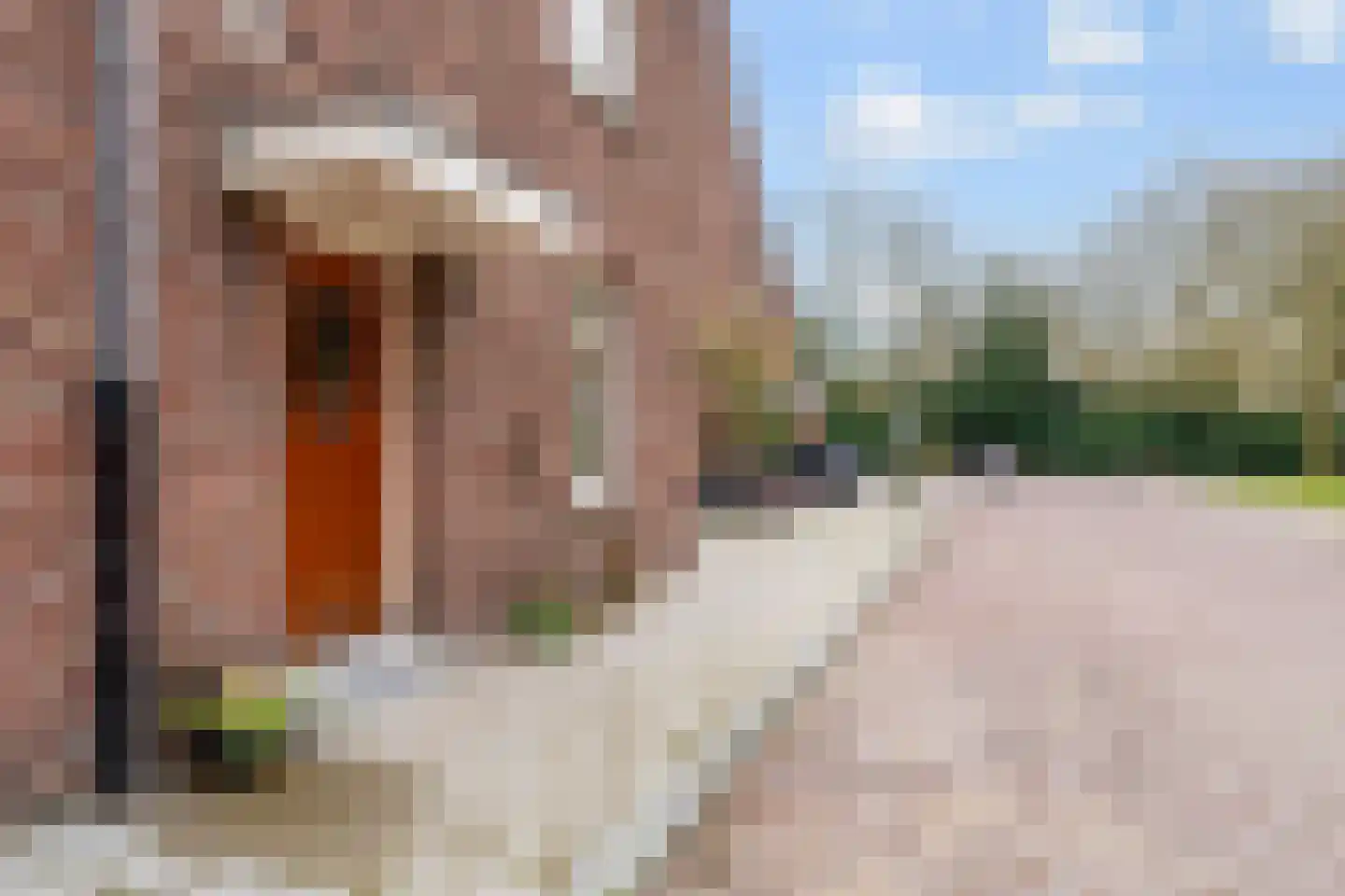 Mariaplein 1 Vught thumbnail 4