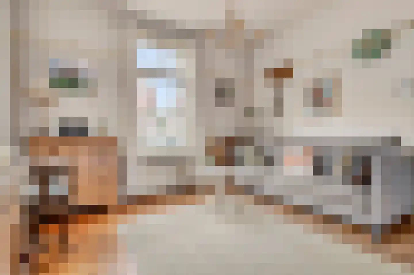 Mariaplein 1 Vught thumbnail 7