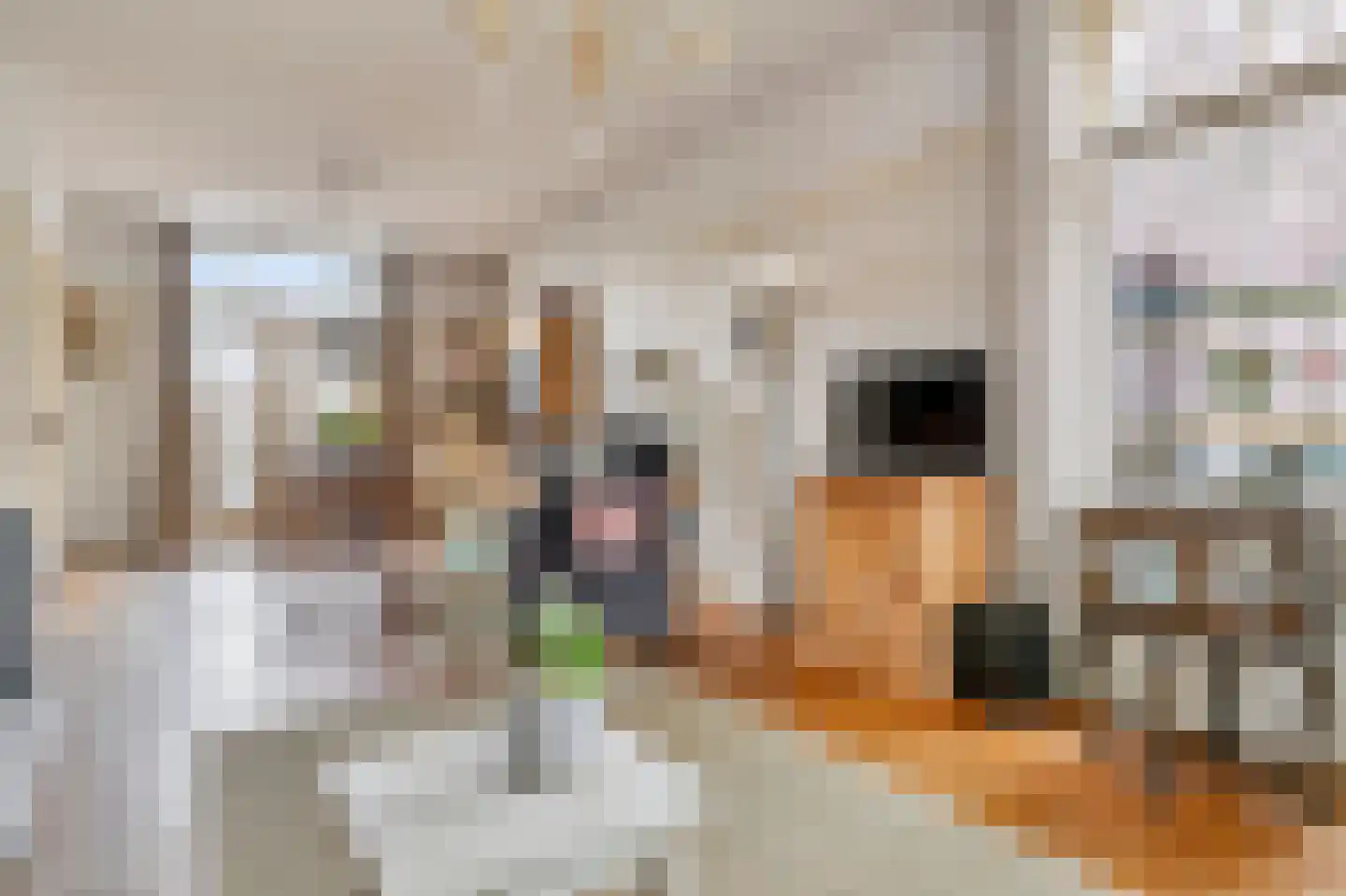 Mariaplein 1 Vught thumbnail 8
