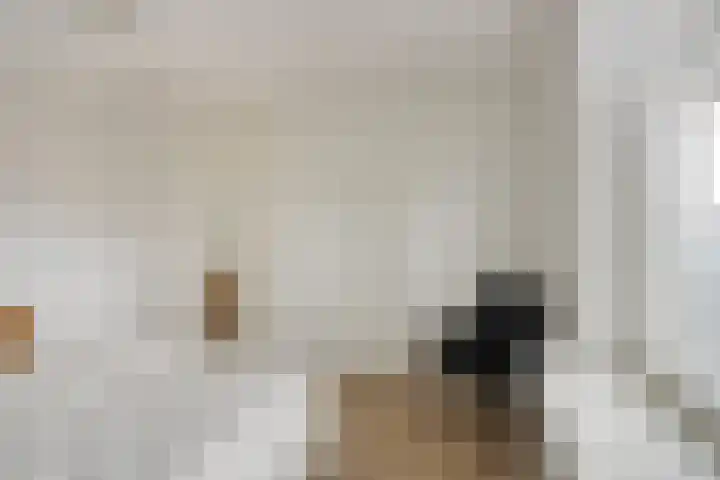 Mariaplein 12 C 3 Helden thumbnail 24