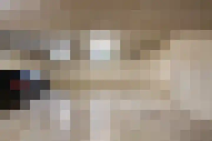 Mariaplein 12 C 3 Helden thumbnail 30