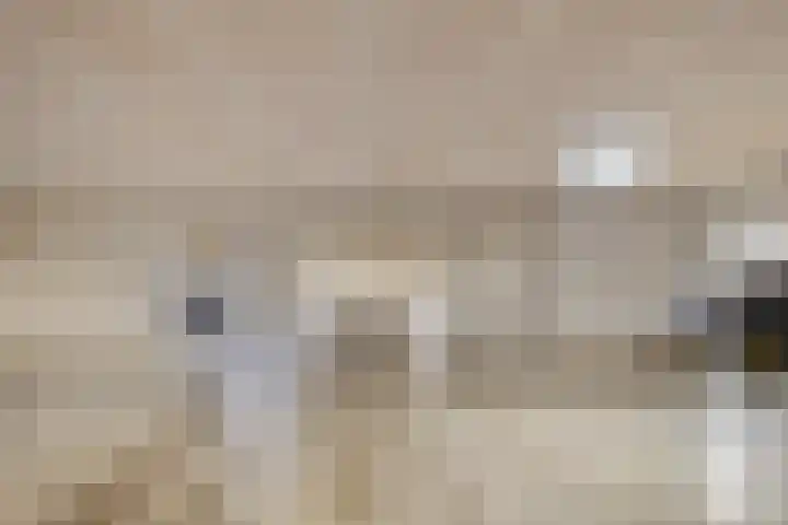 Mariaplein 12 C 3 Helden thumbnail 31
