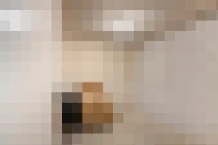 Mariaplein 12 C 3 Helden thumbnail 32