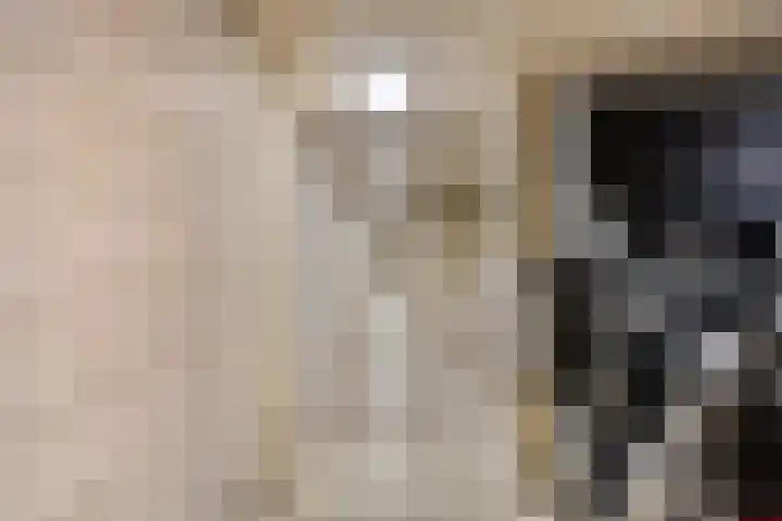 Mariaplein 12 C 3 Helden thumbnail 33