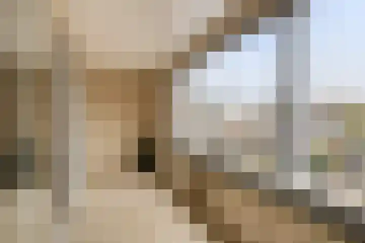Mariaplein 12 C 3 Helden thumbnail 4