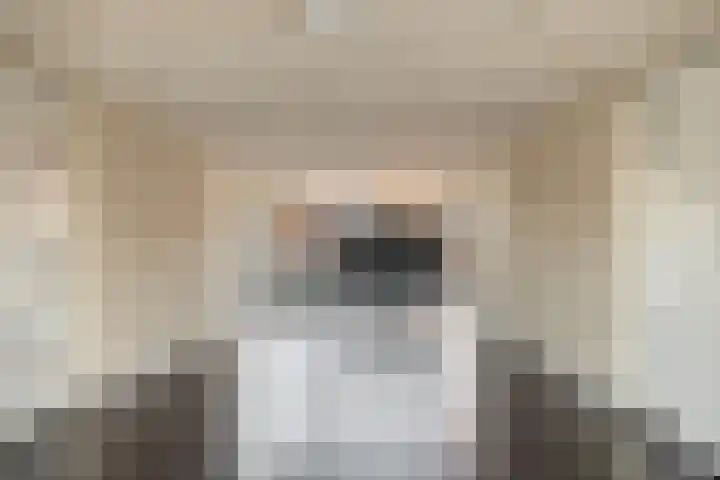 Mariaplein 12 C 3 Helden thumbnail 6