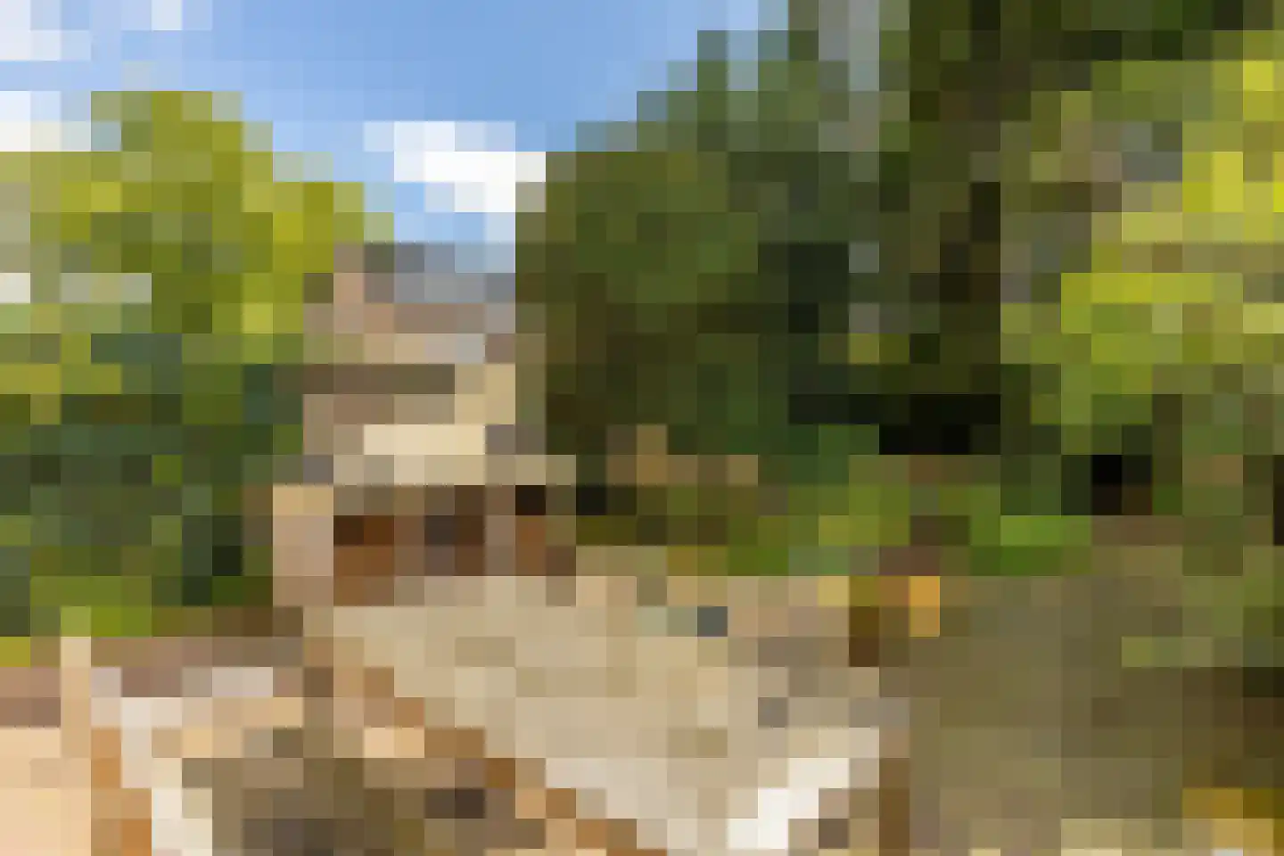 Mariaplein 12 Vught thumbnail 38