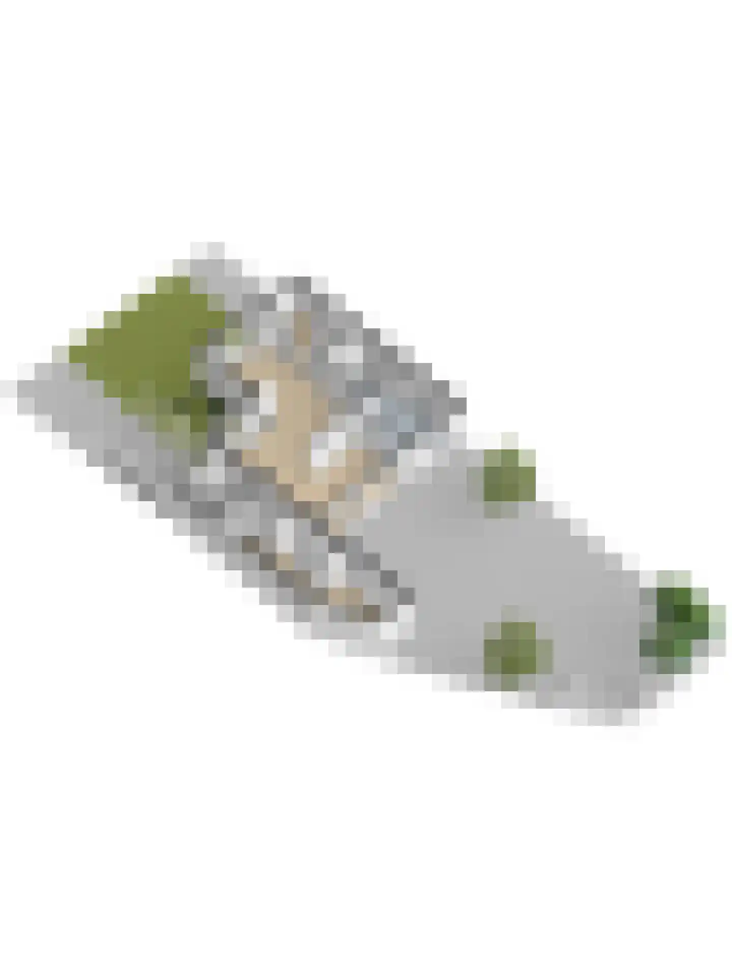 Mariaplein 12 Vught thumbnail 54