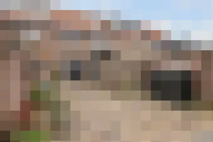 Mariaplein 13 Huissen thumbnail 10