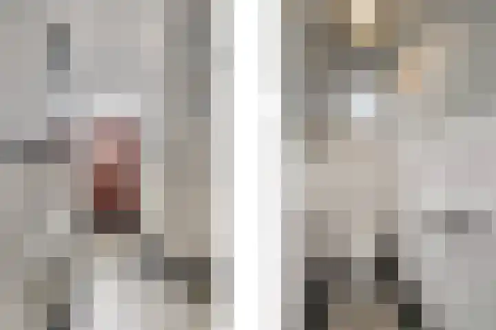 Mariaplein 13 Huissen thumbnail 13