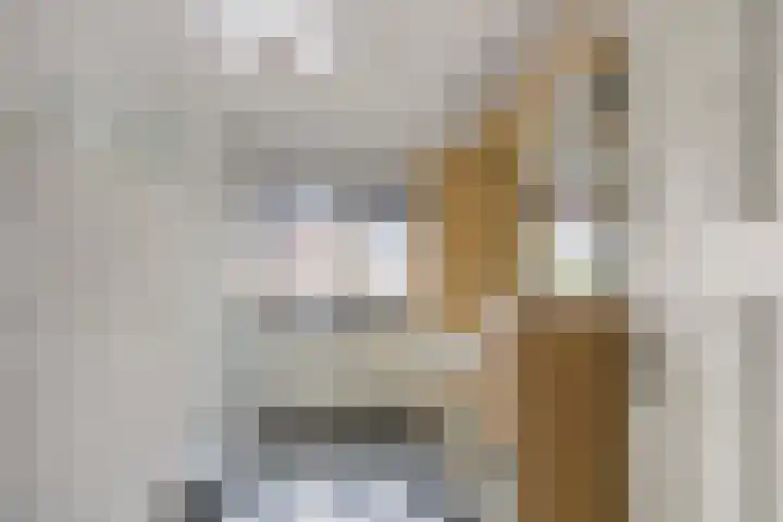 Mariaplein 13 Huissen thumbnail 20