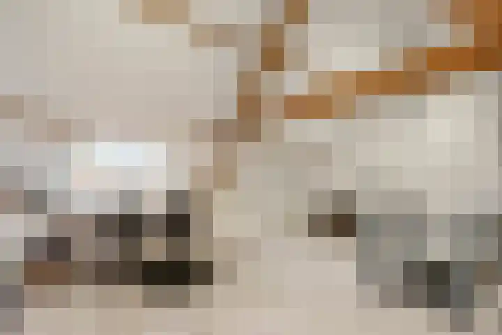 Mariaplein 13 Huissen thumbnail 23