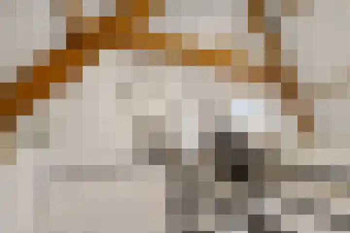 Mariaplein 13 Huissen thumbnail 24