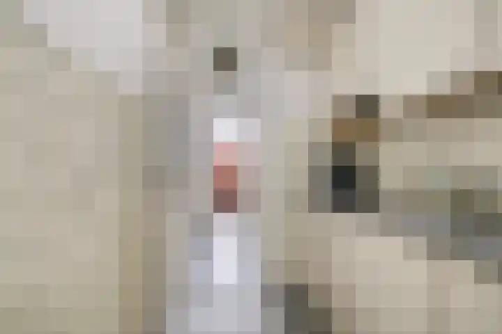Mariaplein 13 Huissen thumbnail 5