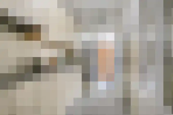 Mariaplein 13 Huissen thumbnail 6
