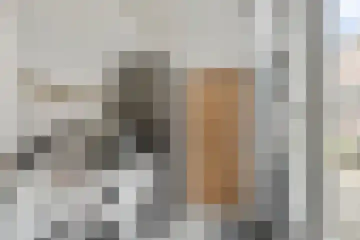 Mariaplein 13 Huissen thumbnail 7