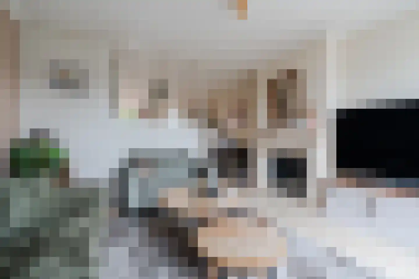 Mariaplein 17 Veldhoven thumbnail 11