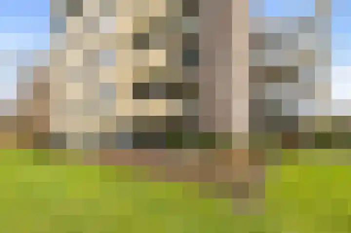 Mariaplein 18 Roosendaal thumbnail 38
