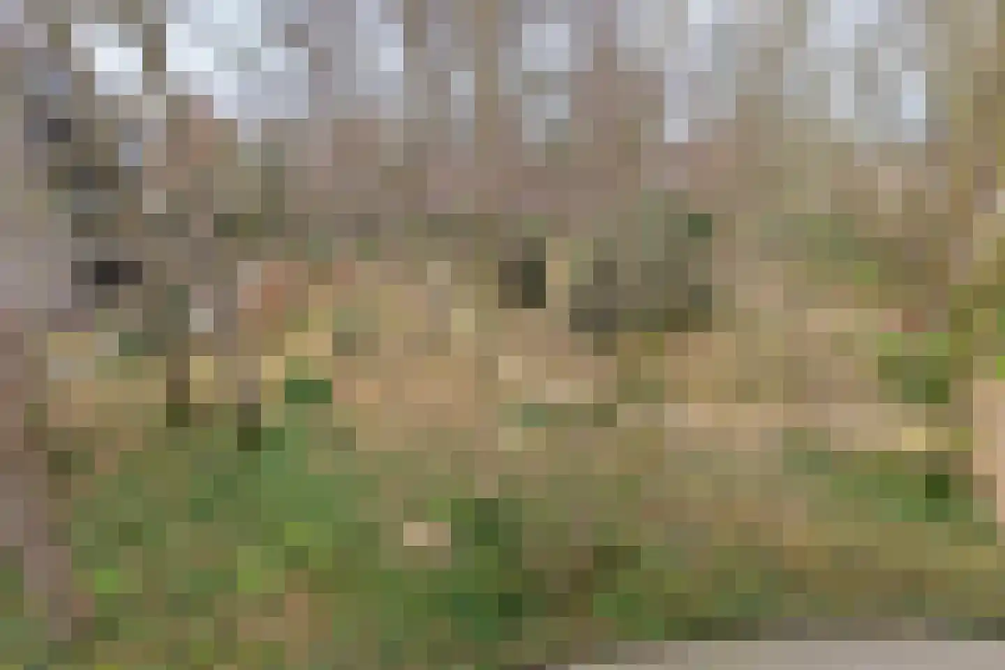 Mariaplein 27 Roosendaal thumbnail 20