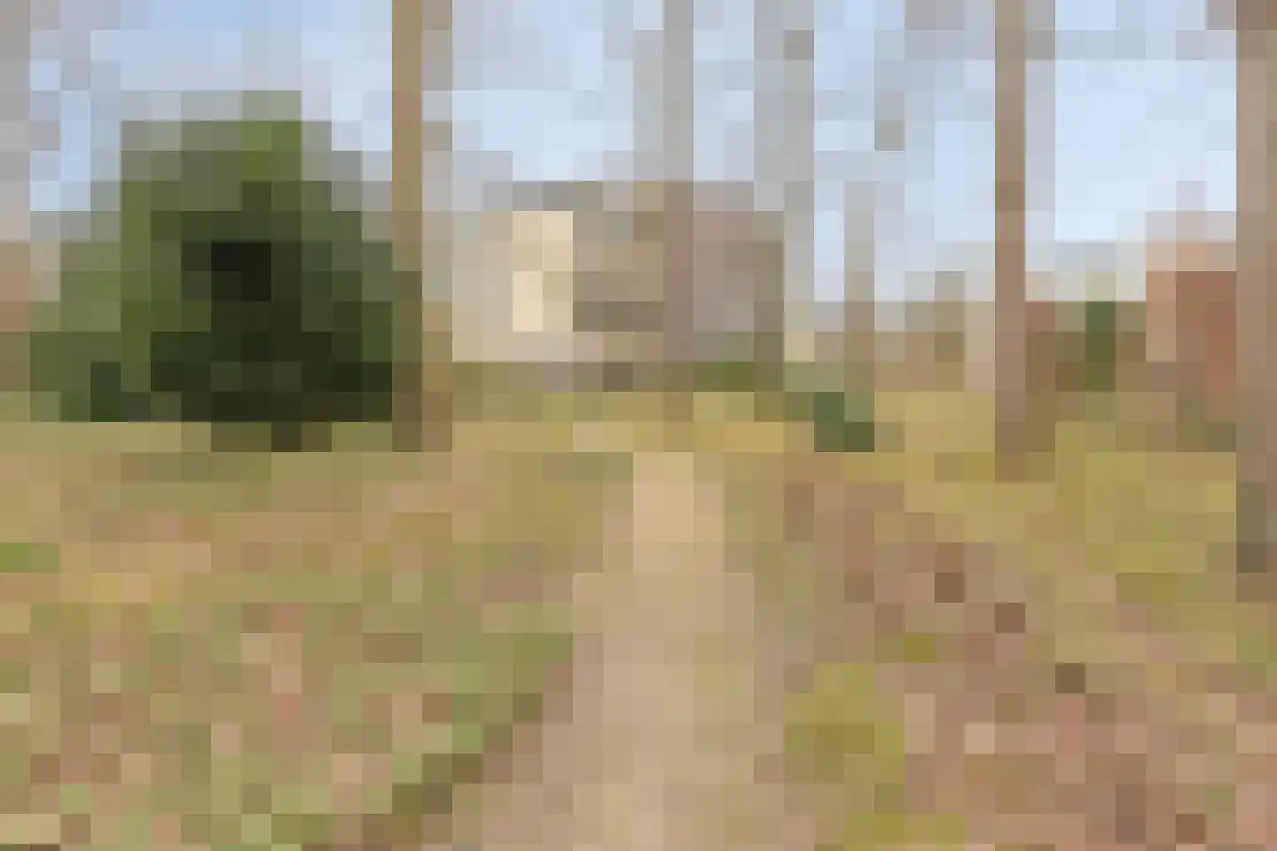 Mariaplein 27 Roosendaal thumbnail 34