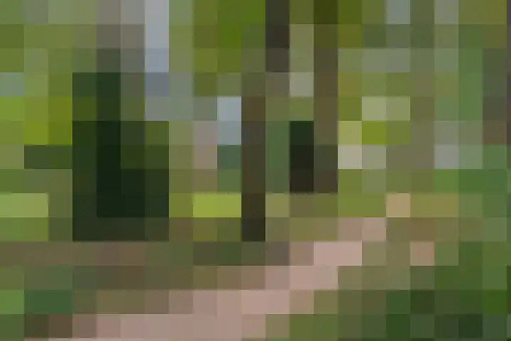 Mariaplein 32 Roosendaal thumbnail 21
