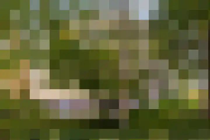 Mariaplein 32 Roosendaal thumbnail 22
