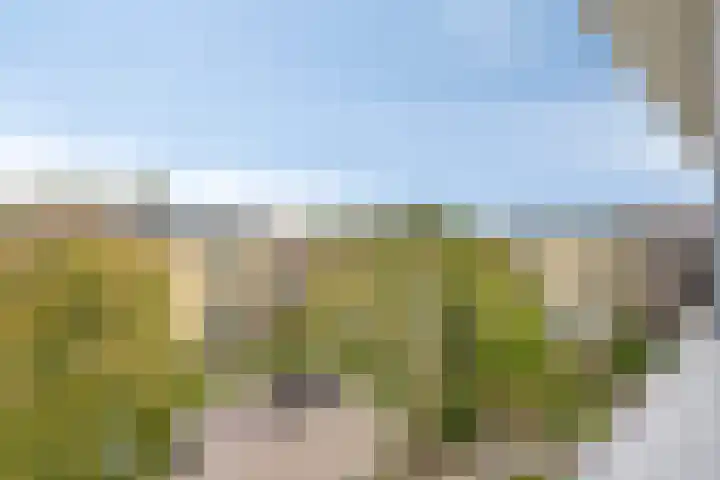 Mariaplein 32 Roosendaal thumbnail 4