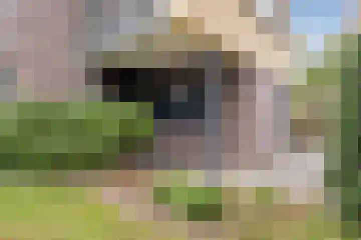 Mariaplein 32 Roosendaal thumbnail 5
