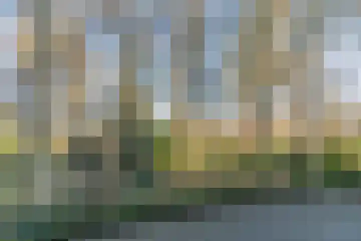 Mariaplein 33 Roosendaal thumbnail 62