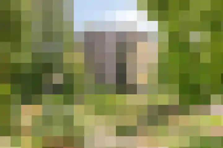 Mariaplein 37 Roosendaal thumbnail 17