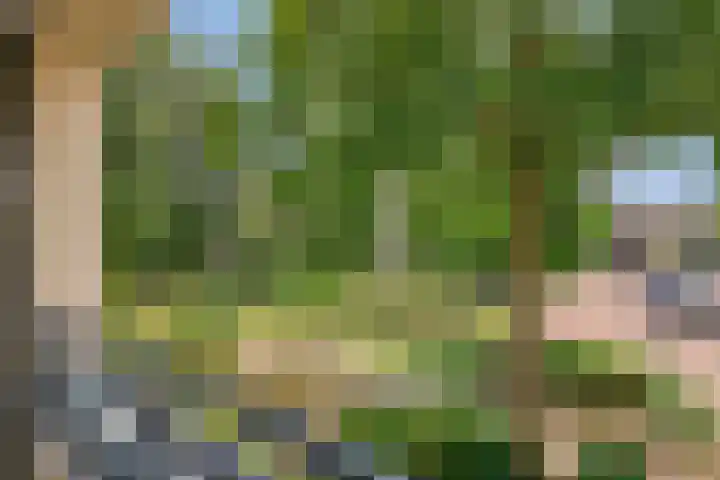 Mariaplein 37 Roosendaal thumbnail 27
