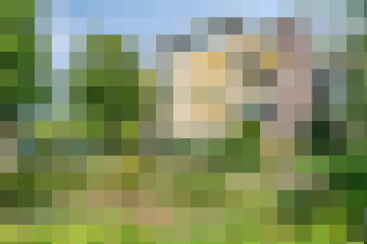 Mariaplein 37 Roosendaal thumbnail 4
