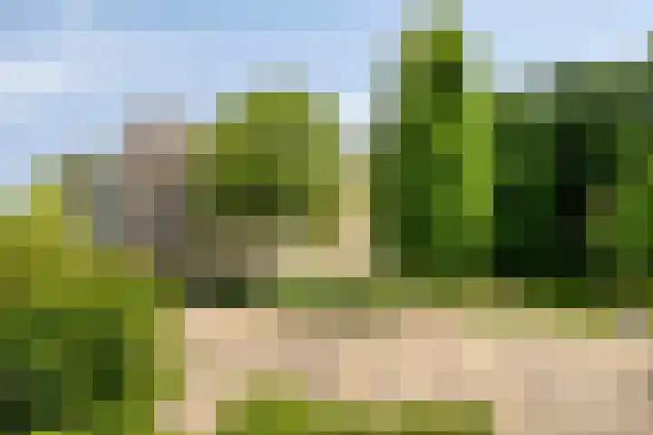 Mariaplein 37 Roosendaal thumbnail 41