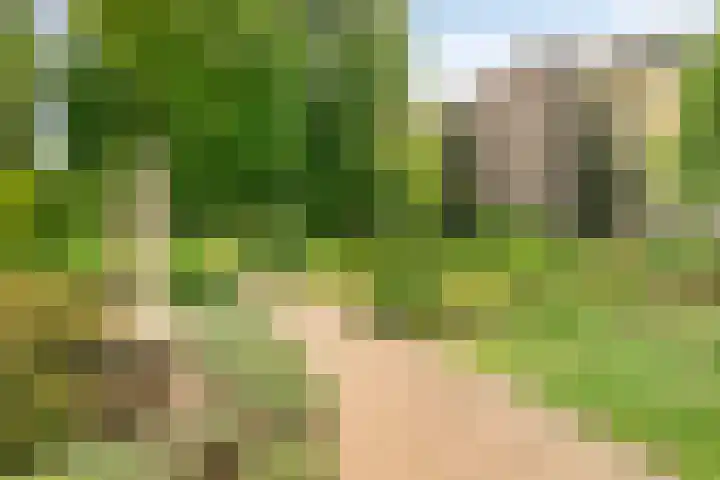 Mariaplein 37 Roosendaal thumbnail 42