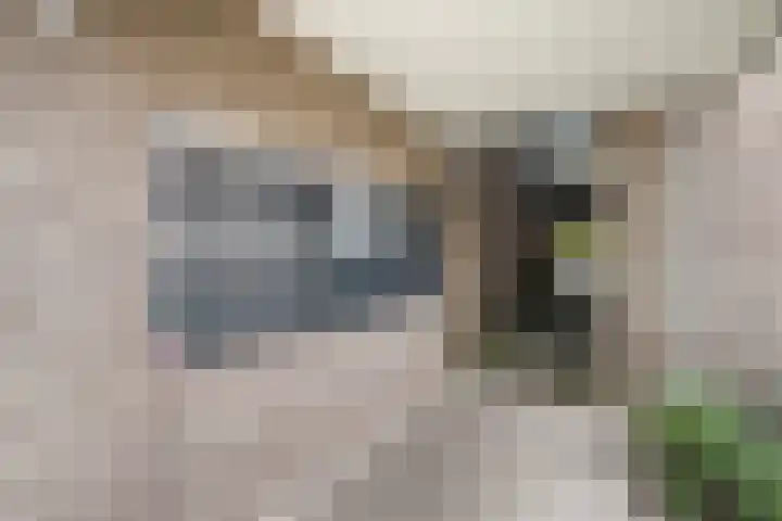 Mariaplein 37 Roosendaal thumbnail 5