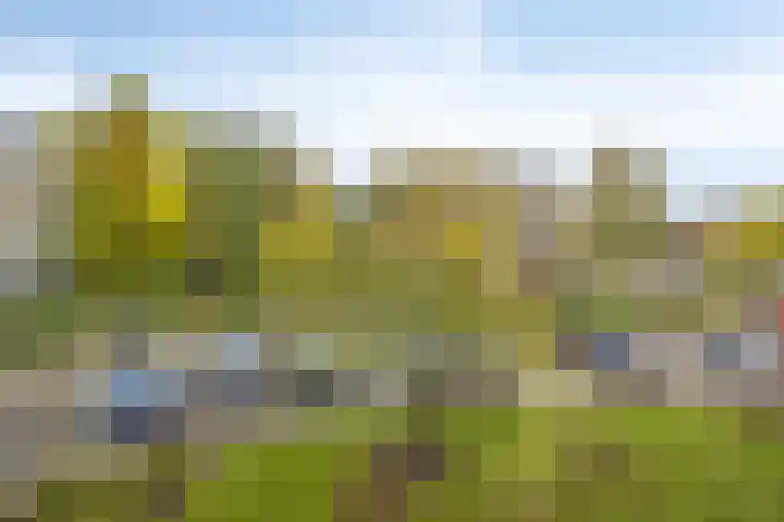 Mariaplein 4 Roosendaal thumbnail 19