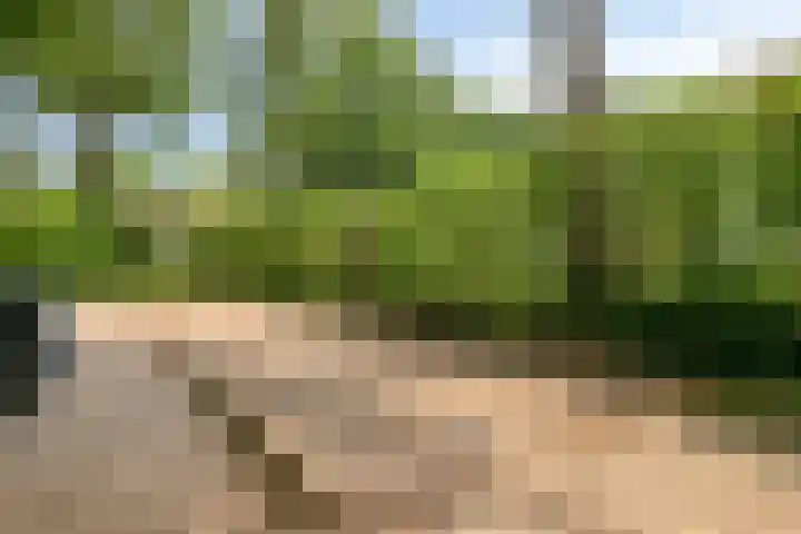 Mariaplein 4 Roosendaal thumbnail 31