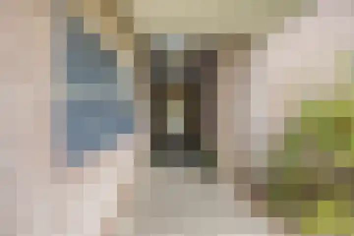 Mariaplein 4 Roosendaal thumbnail 5