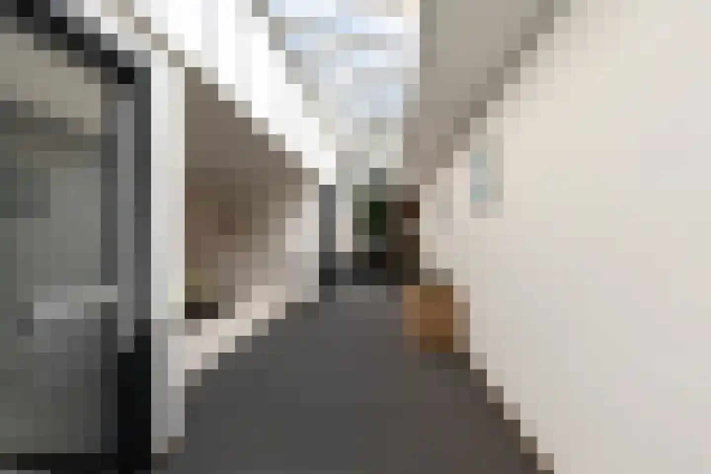 Mariaplein 49 Roosendaal thumbnail 8